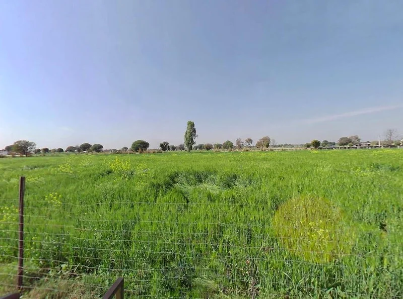 QM6W+8Q, Ismalpur, Ismailpur, Rajasthan 301404, India preview 3