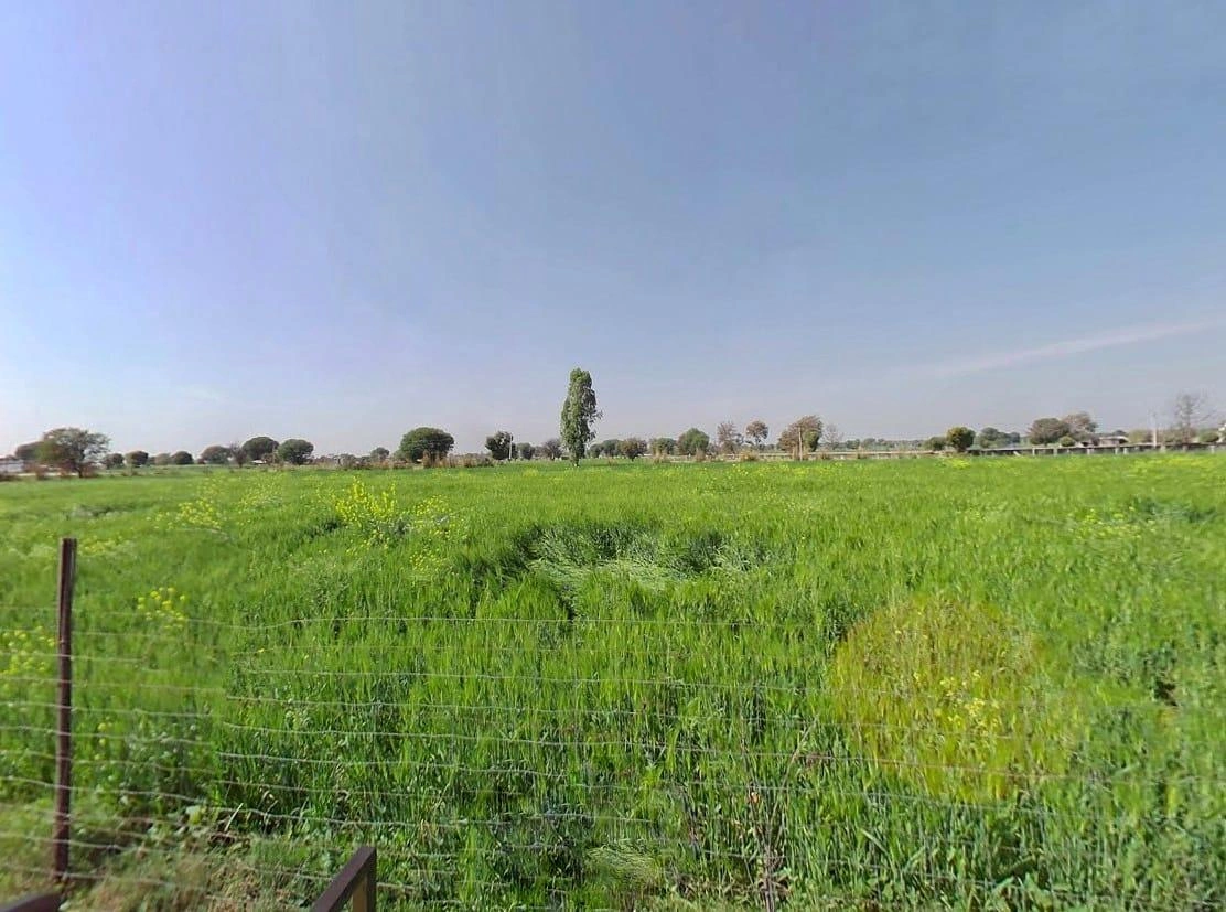 QM6W+8Q, Ismalpur, Ismailpur, Rajasthan 301404, India