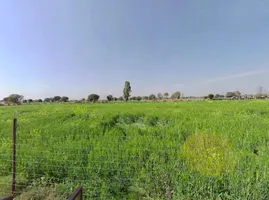 QM6W+8Q, Ismalpur, Ismailpur, Rajasthan 301404, India preview 3