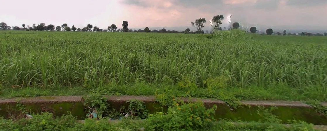 Sahaspur, Uttarakhand 248197, India