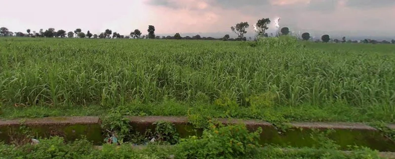 Sahaspur, Uttarakhand 248197, India preview 2