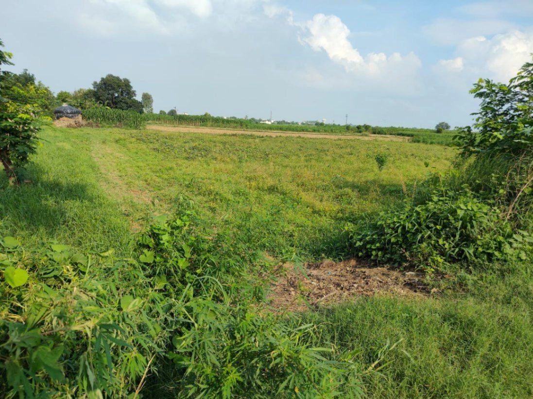 Ganesara, Mathura, Uttar Pradesh, India