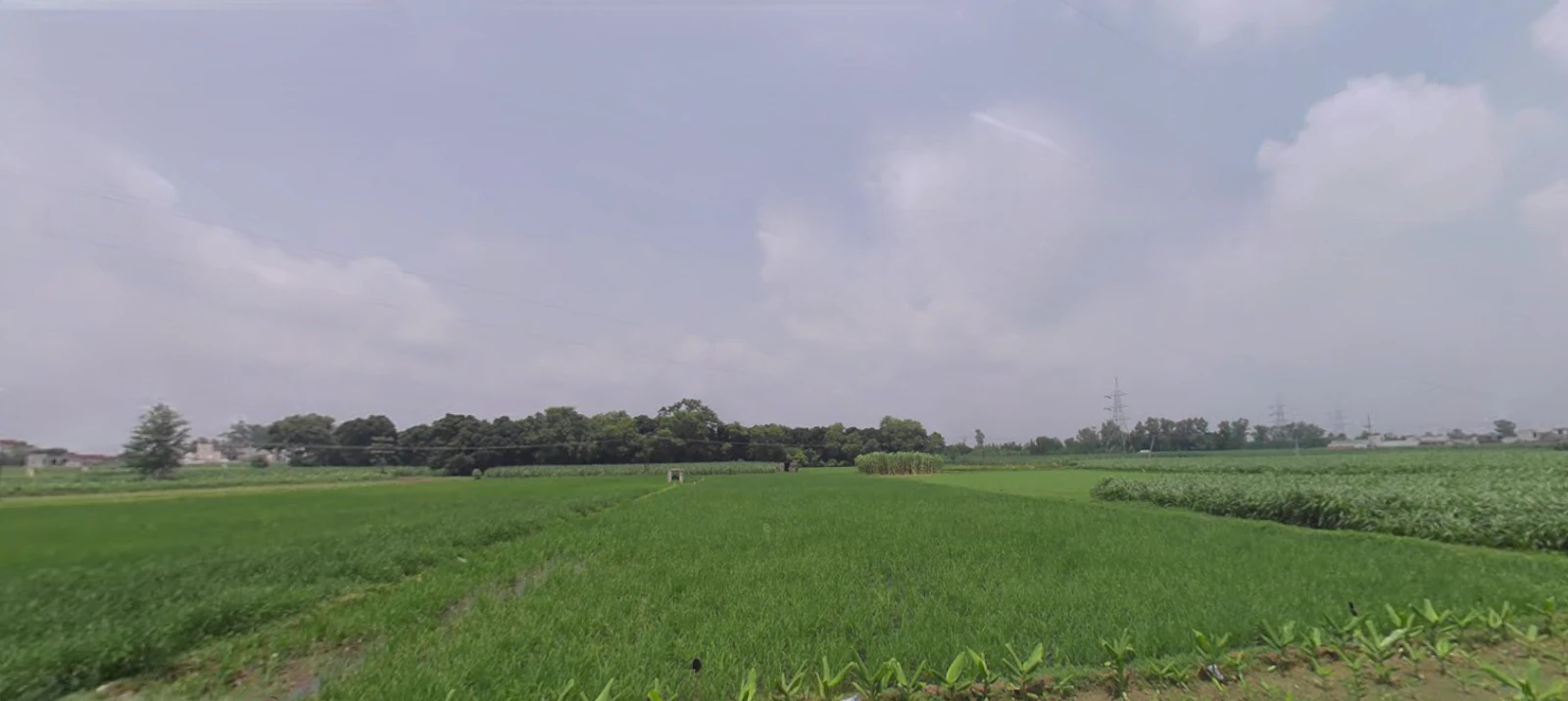 Roorkee, Uttarakhand, India