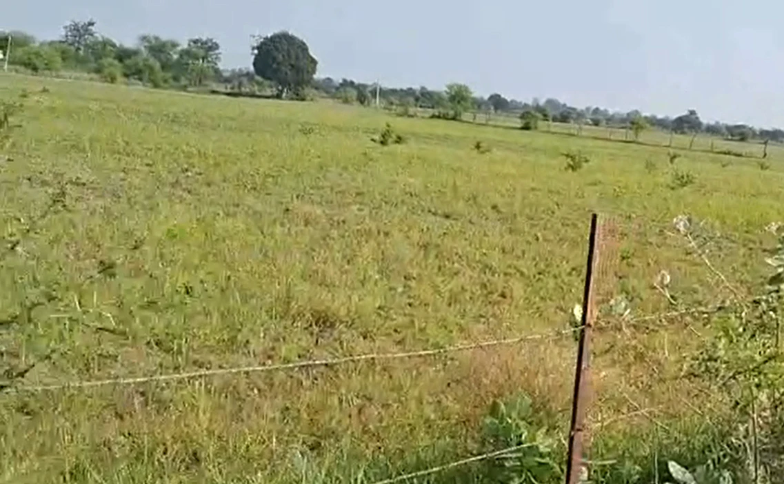 3FJ5+4P Niwadi, Raisen, Madhya Pradesh, India