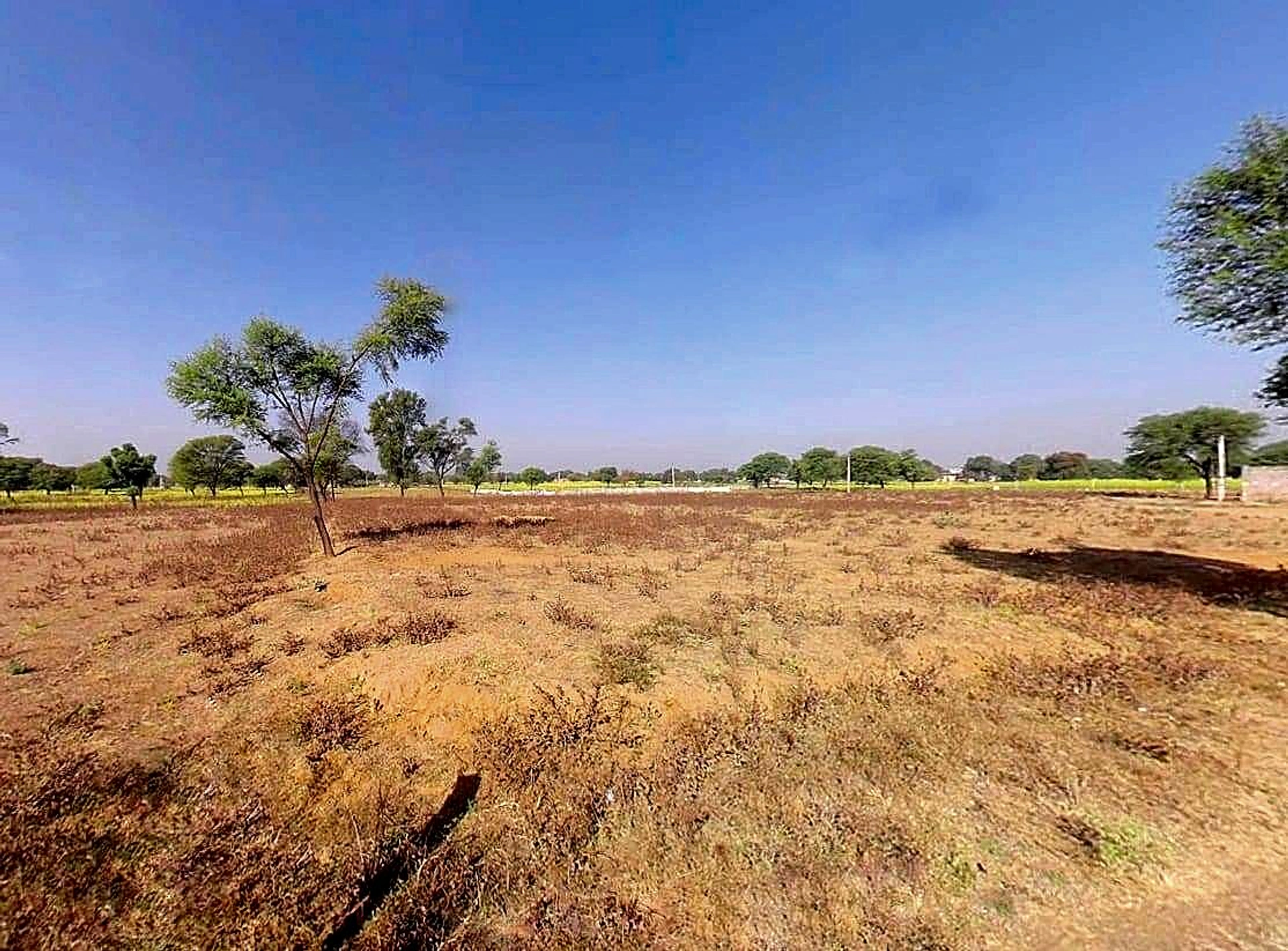 8Q52+W97, Nangal Koju, Rajasthan 303804, India