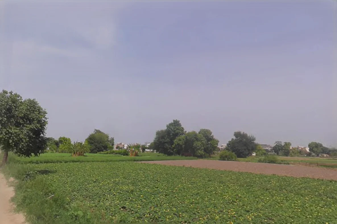 5843+2P4, Palwalrural, Haryana 121102, India preview 3