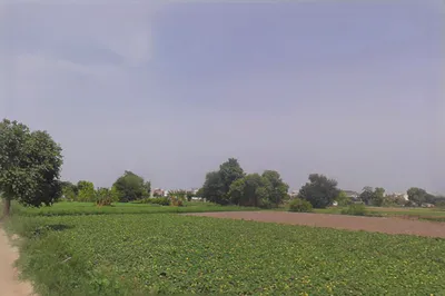 5843+2P4, Palwalrural, Haryana 121102, India preview 3