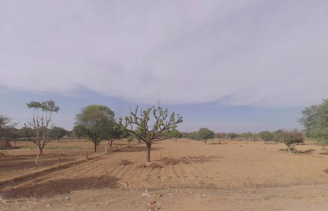 Goria, Rajasthan 332403, India preview 3