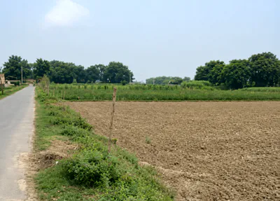 FW7Q+HXV, Varanasi, Basawn, Uttar Pradesh, India preview 2