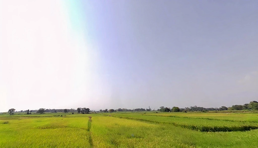 Dewri Mandir Rd, Diuri, Jharkhand 835225, India