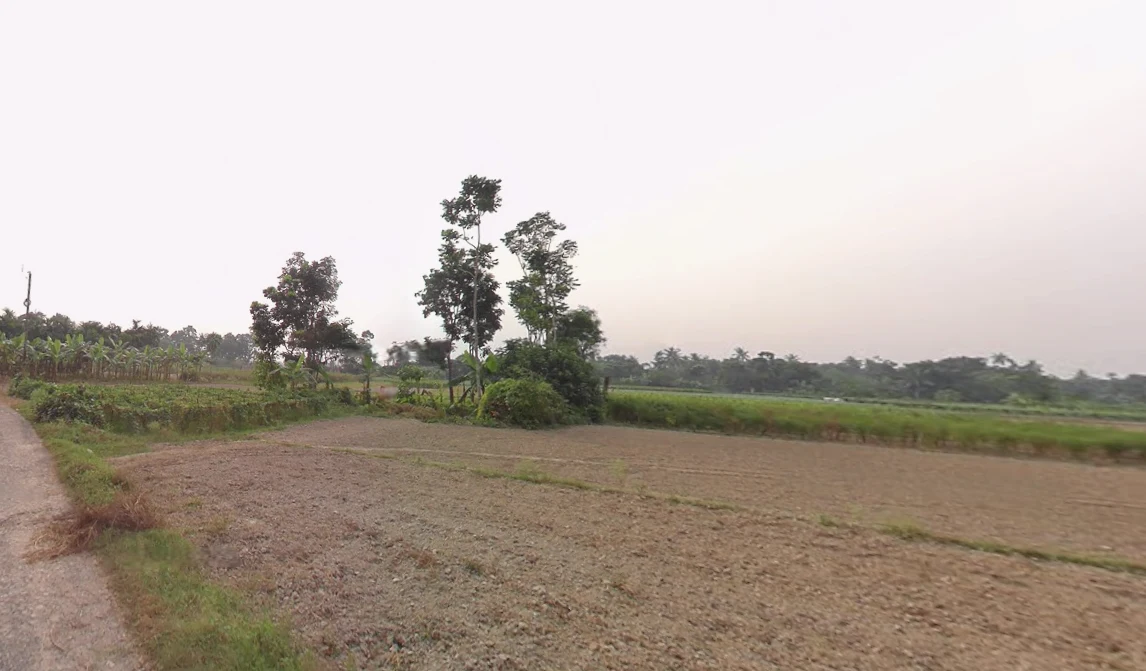 GGWG+7X9, Newtown, Hatisala, West Bengal 700135, India