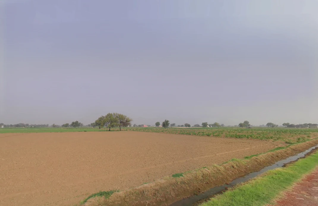 Khabran Kalan, Haryana 125053, India