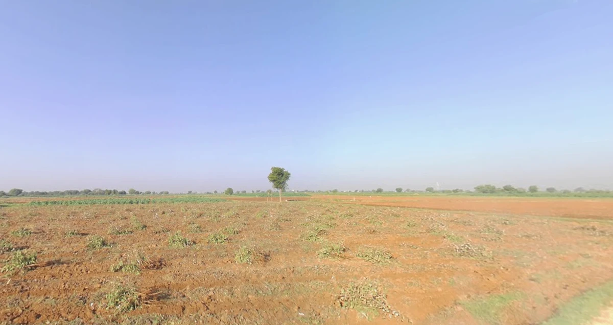 Sokali, Gujarat 382150, India