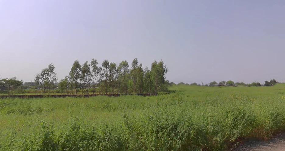 Kotma, Madhya Pradesh 484334, India