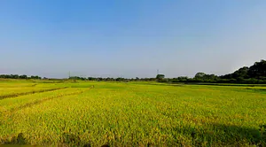 Bhusur, Jharkhand, India preview 2