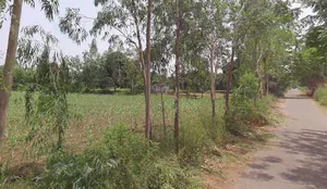 Hastinapur, Uttar Pradesh 250404, India preview 2