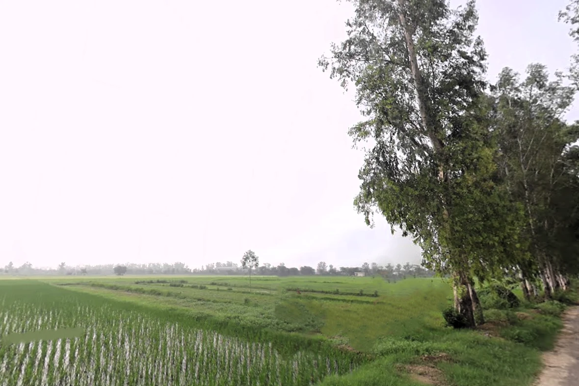 Jirbari, Haryana, India