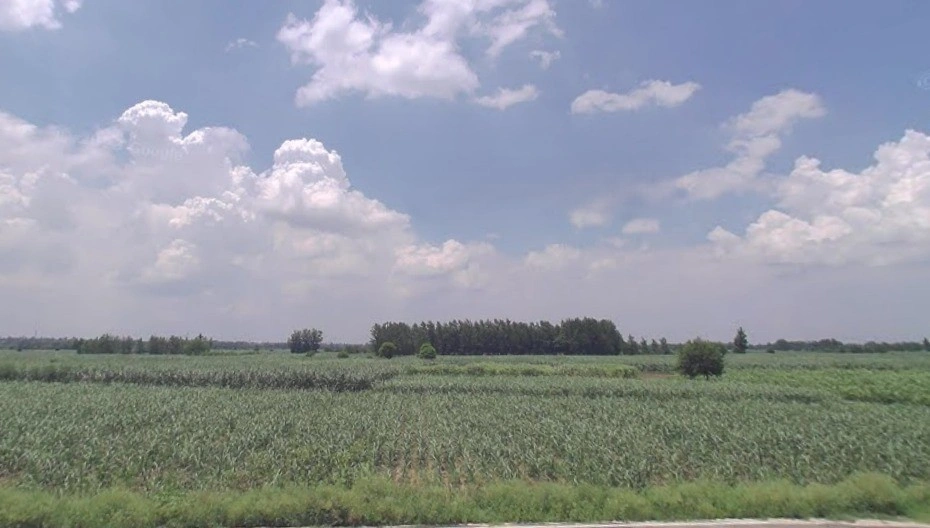 Roorkee, Uttarakhand, India