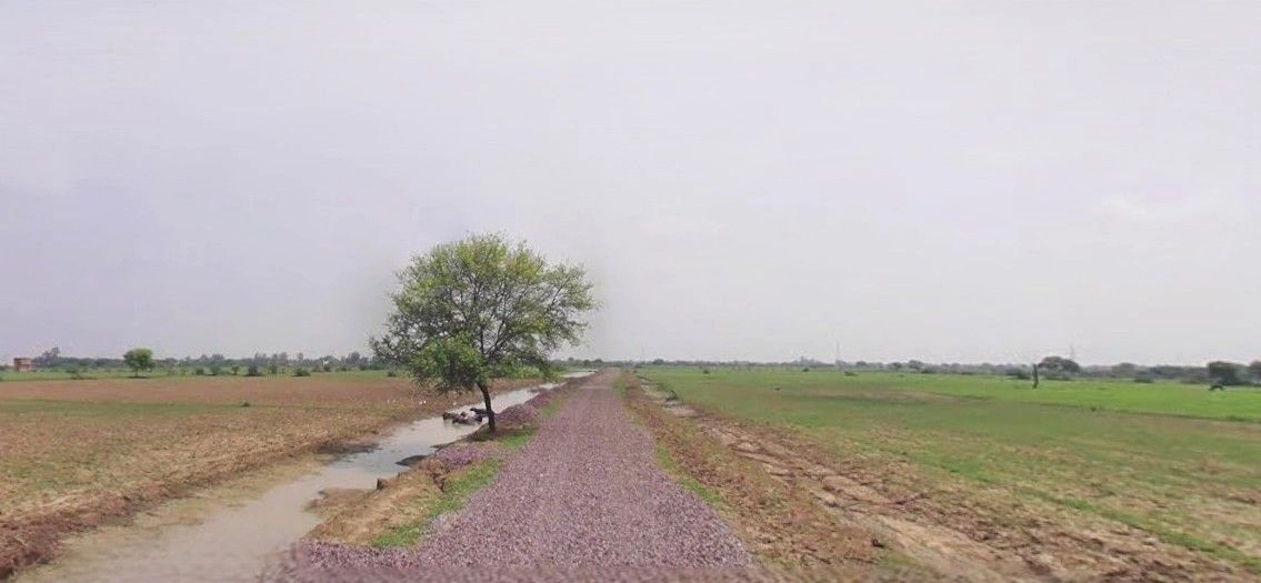 Puranpur, Uttar Pradesh 262122, India