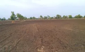 Jalanpur, Madhya Pradesh, India preview 3