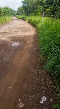 P5J2+W38, Palghar, Malwada, Maharashtra 421303, India