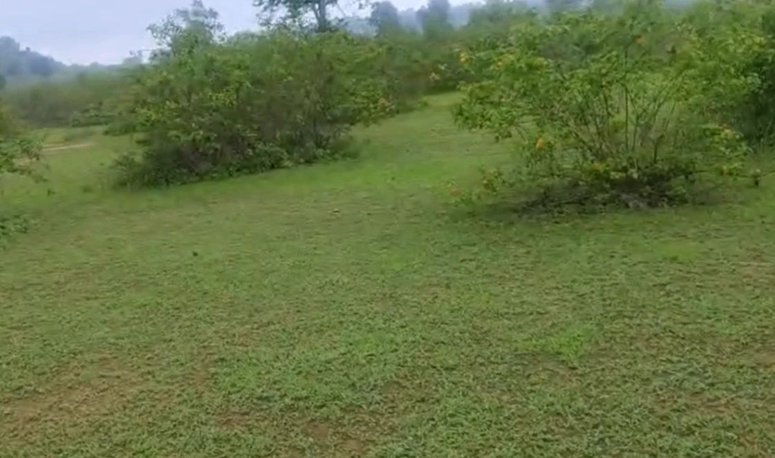Barwara, Katni, Madhya Pradesh, India