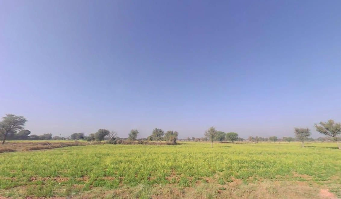 QWPV+38C, Panva Kalan, Rajasthan, India