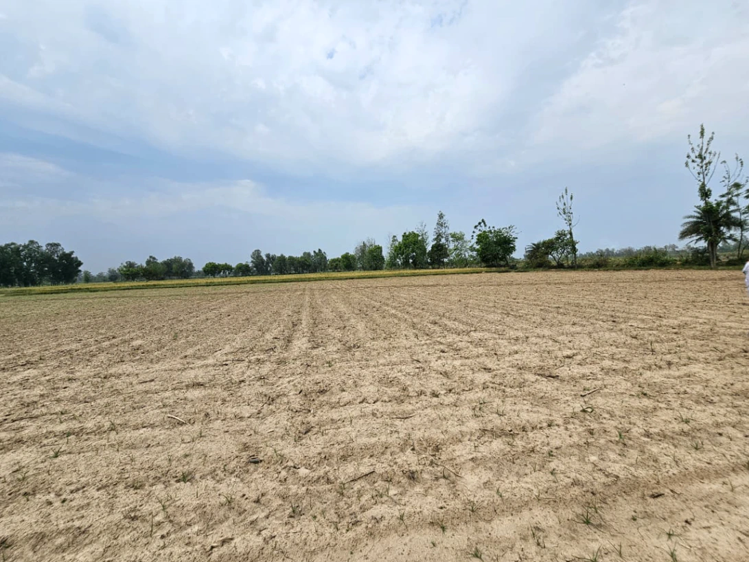 Dang Kalan, Haryana 127111, India