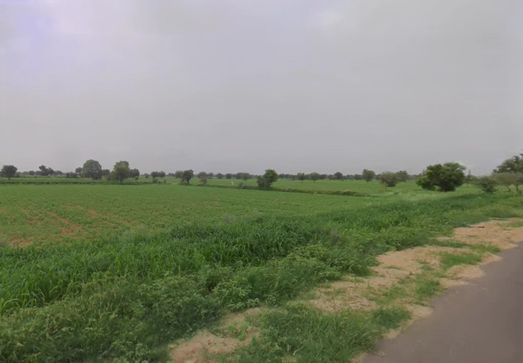 Budak, Haryana 125004, India