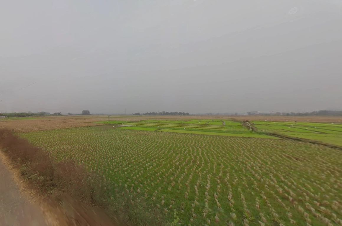 Birohi, Shitalatala, West Bengal 741245, India