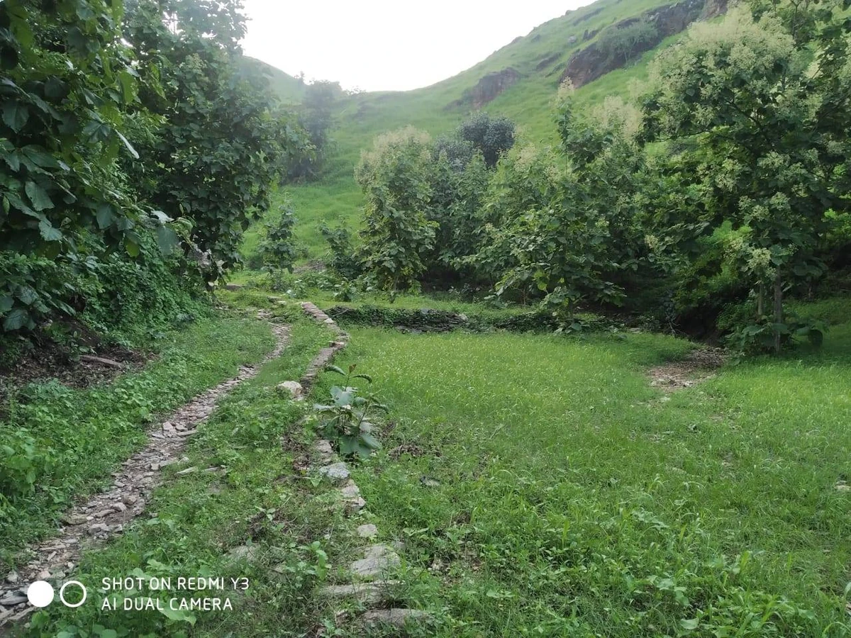 Bhatwari, Uttarakhand 249135, India