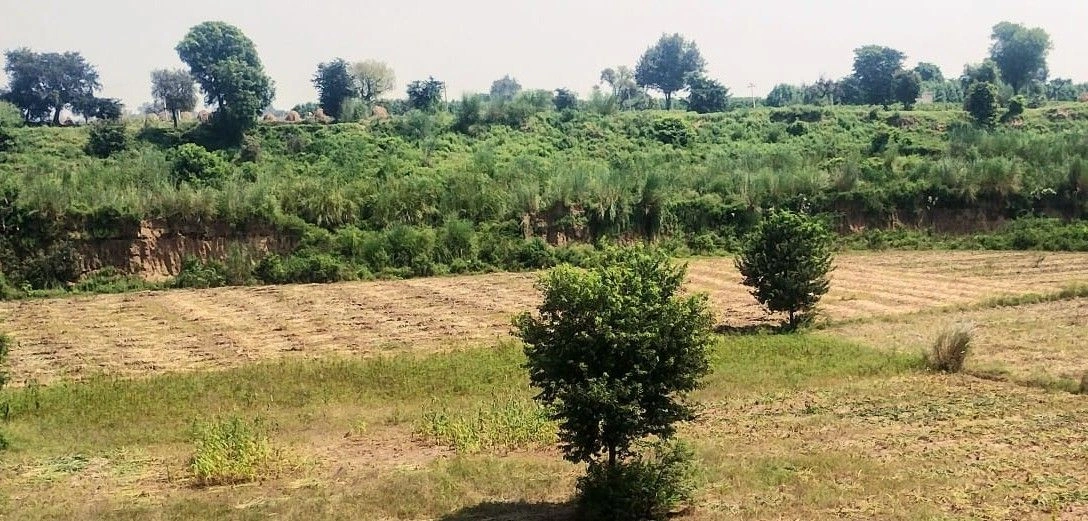Kishangarh Bas, Rajasthan 301405, India