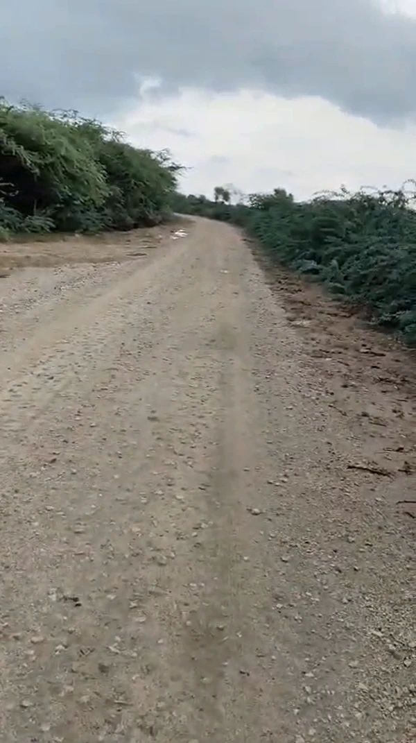 P8CR+CJJ, Jaipur, Akhepura, Rajasthan 302013, India