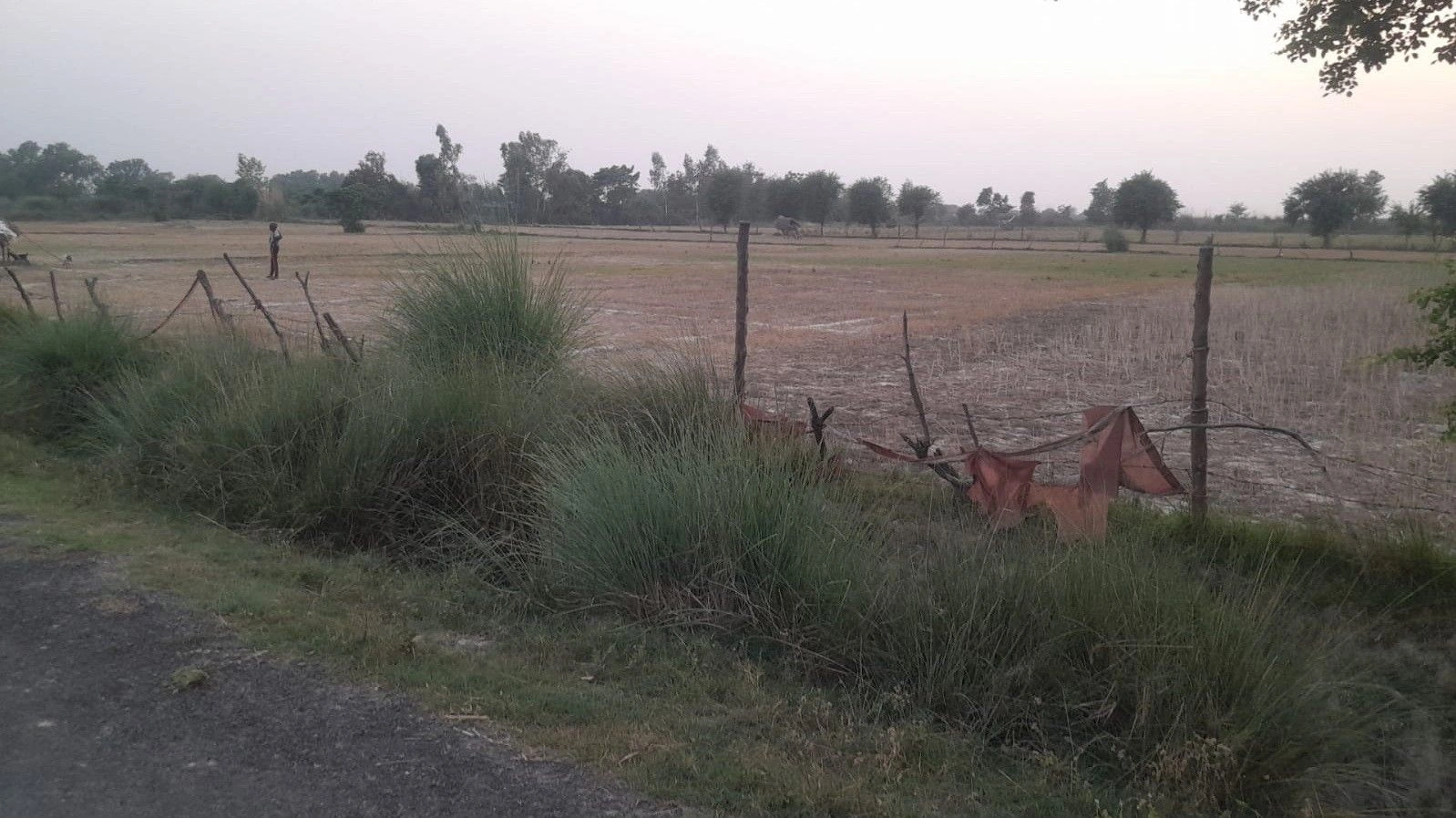 J7X4+V4 Khanpur, Uttar Pradesh, India