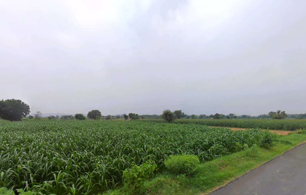 Tijara, Rajasthan 301411, India