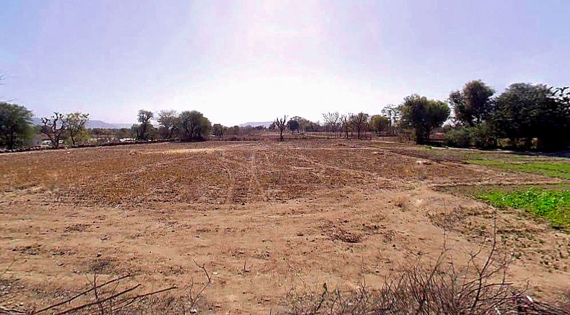 Gola Ka Bas, Rajasthan 301410, India