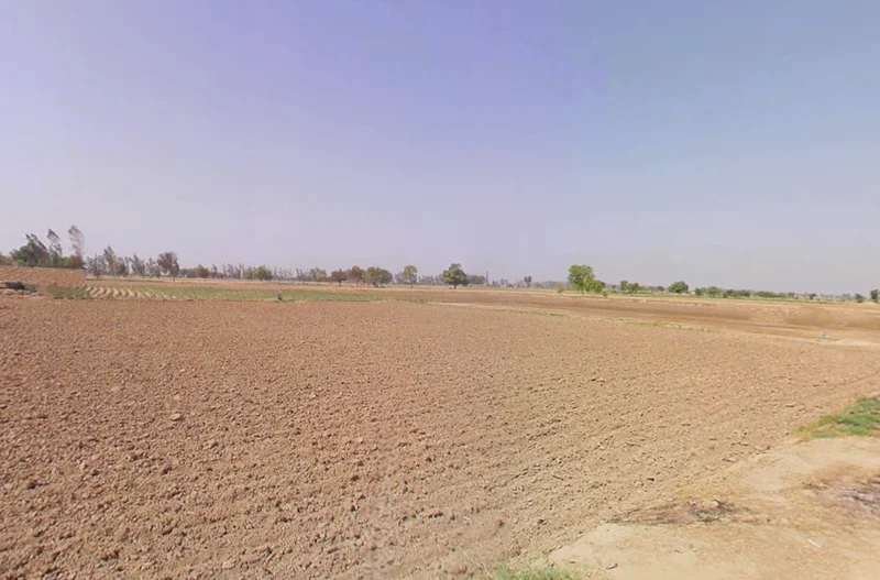 Bass, Haryana 125042, India preview 2