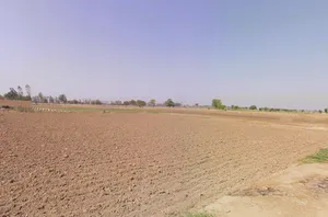 Bass, Haryana 125042, India preview 2