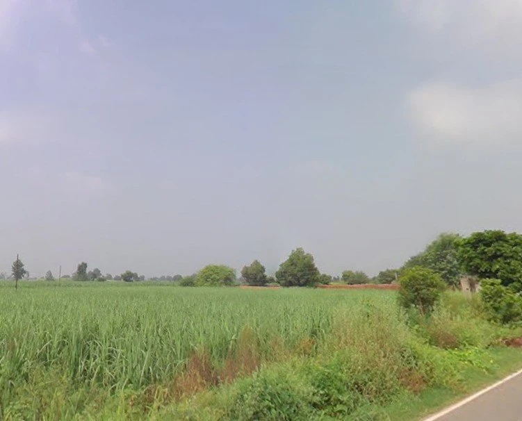Baraut, Uttar Pradesh 250611, India
