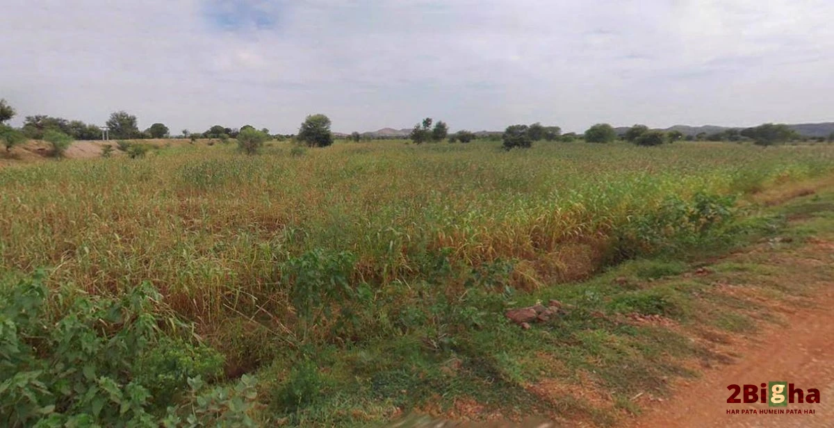 Roorkee, Uttarakhand, India