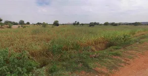 Roorkee, Uttarakhand, India preview 2