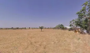 Pushkar, Rajasthan 305022, India preview 2