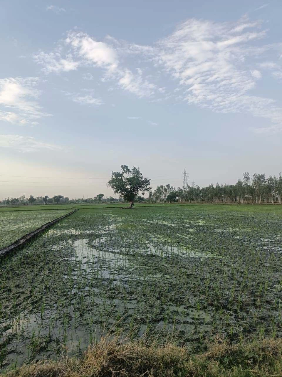 Sankhi, Uttar Pradesh 281401, India preview 3