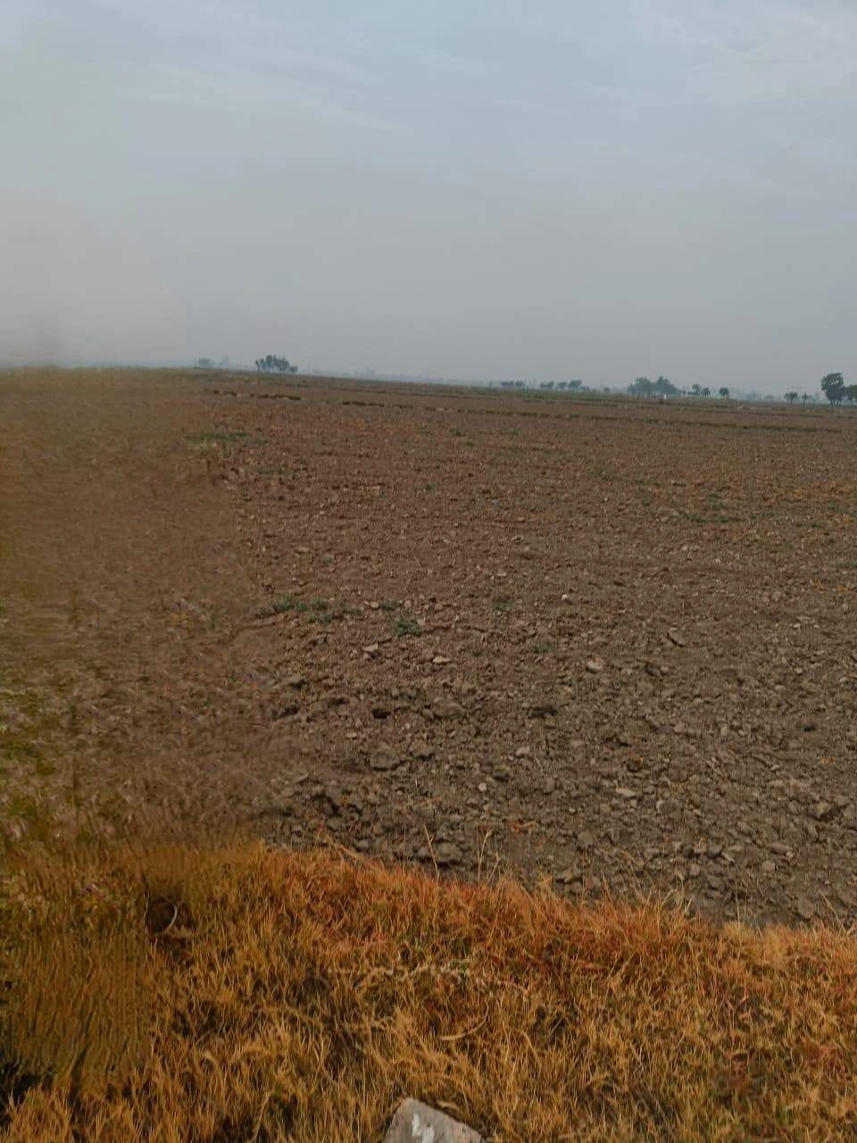Adampur, Uttar Pradesh, India