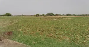 Sri Ganganagar, Rajasthan, India preview 2