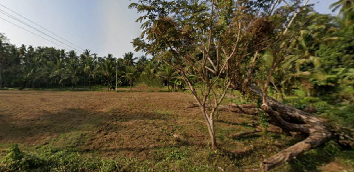 9872+WMH, Edakkara, Kerala 679331, India