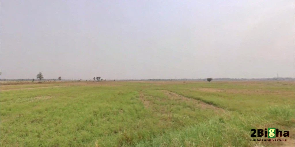 Nayagaon, Bihar 841217, India