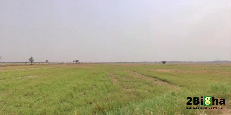 Nayagaon, Bihar 841217, India preview 3