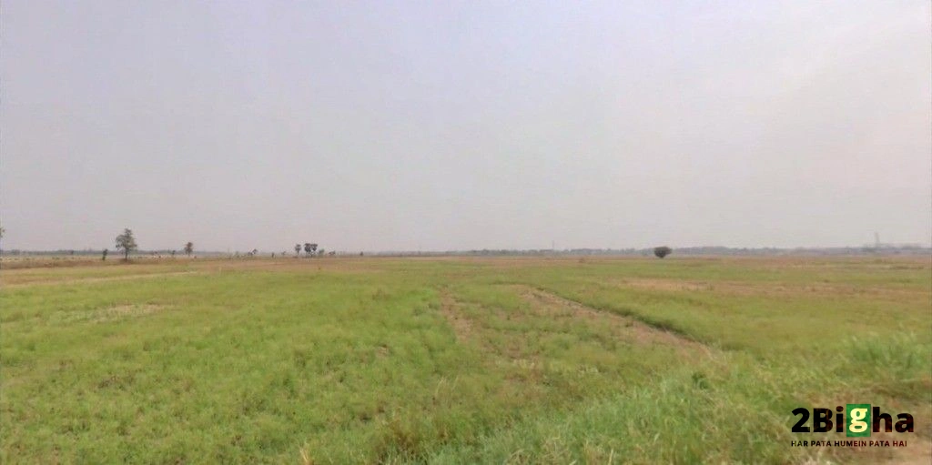 Nayagaon, Bihar 841217, India