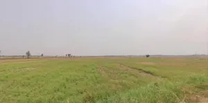 Nayagaon, Bihar 841217, India preview 3